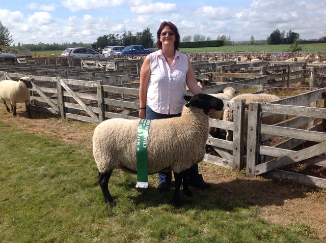 190/09 Champion Meat breed sheep of Mayfield A&P Show