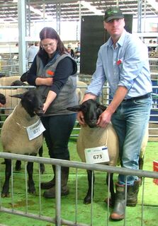 2012 Christchurch Show.