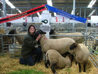 2013 Christchurch Show