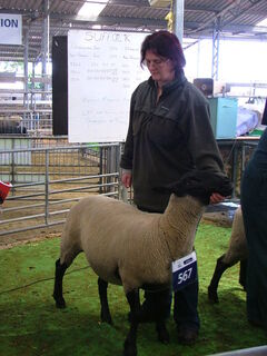 2013 Christchurch Show