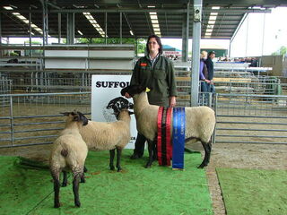 2013 Christchurch Show