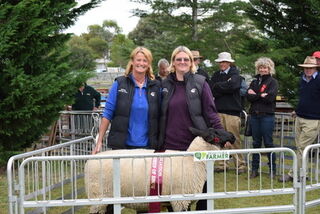 Supreme champion sheep of show , Hawarden A&P show 2018